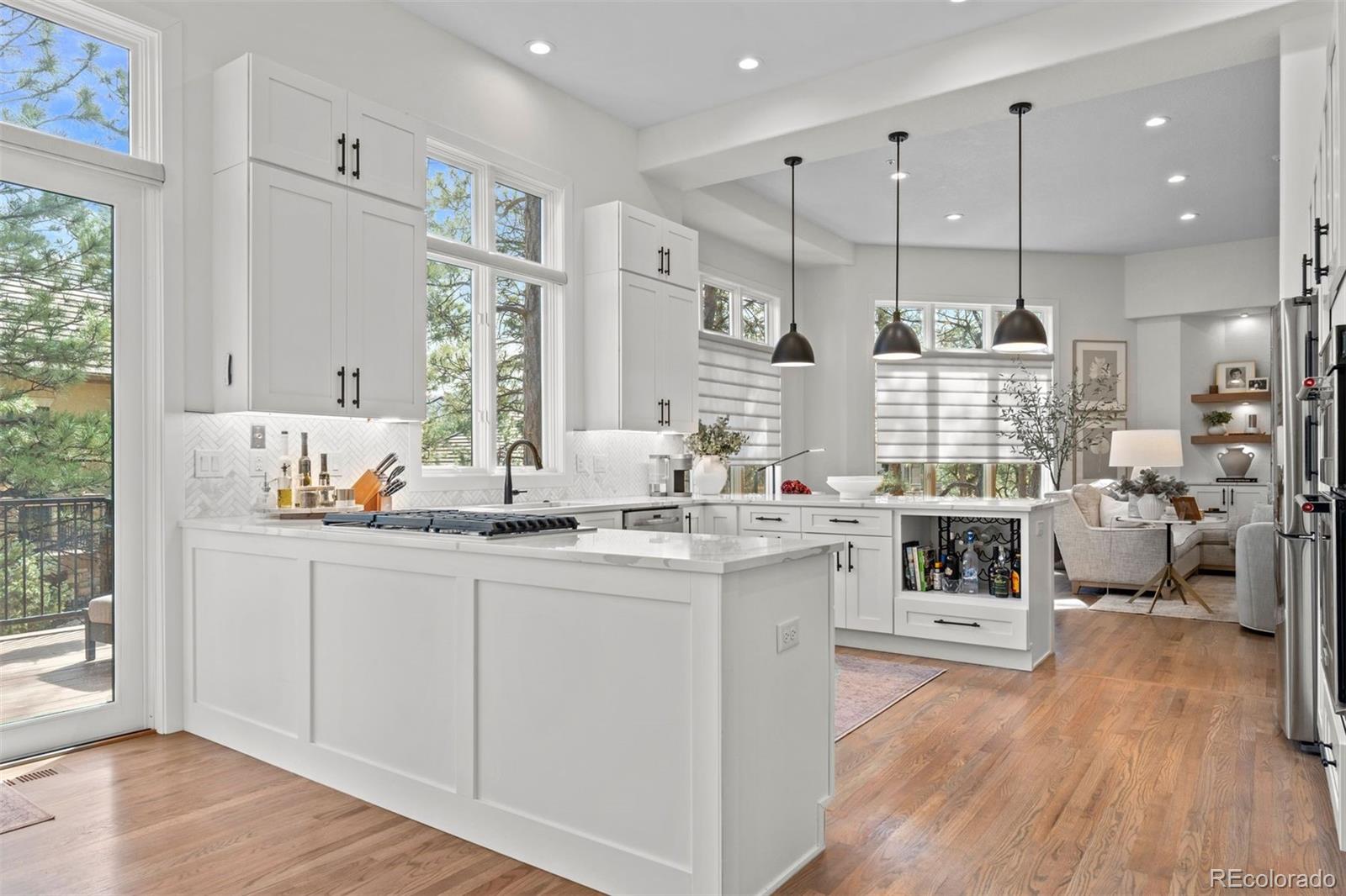MLS Image #8 for 4517  silver cliff court,castle rock, Colorado