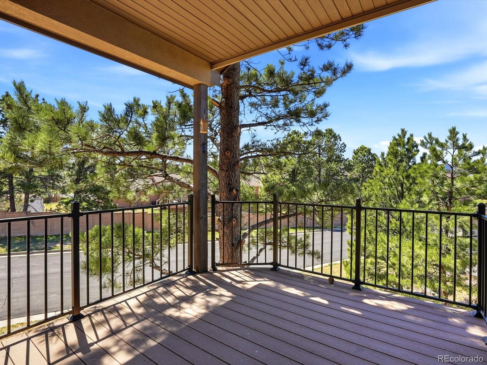 MLS Image #11 for 1572  piney hill point,monument, Colorado