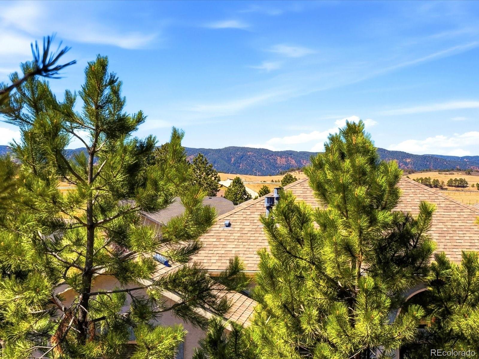 MLS Image #42 for 1572  piney hill point,monument, Colorado