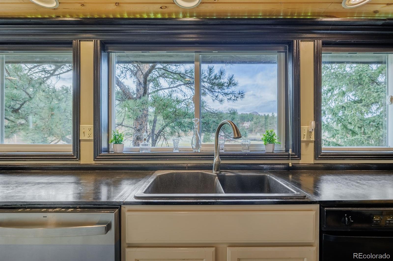 MLS Image #20 for 15895  pine lake drive,woodland park, Colorado