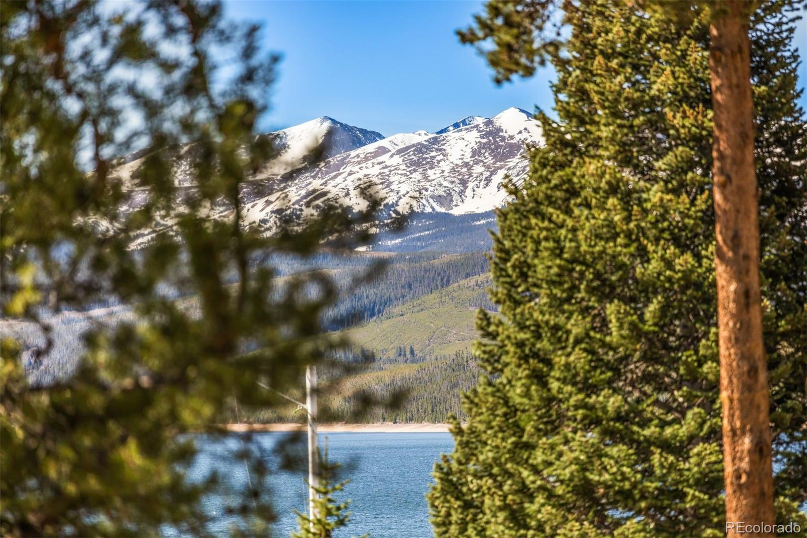 MLS Image #26 for 160  e la bonte ,dillon, Colorado