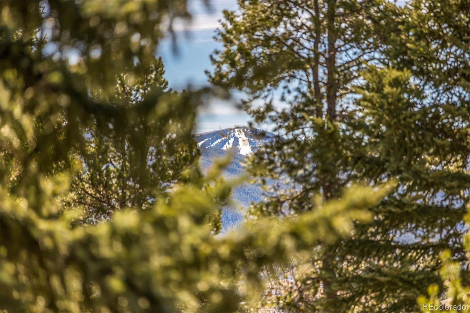 MLS Image #27 for 160  e la bonte ,dillon, Colorado
