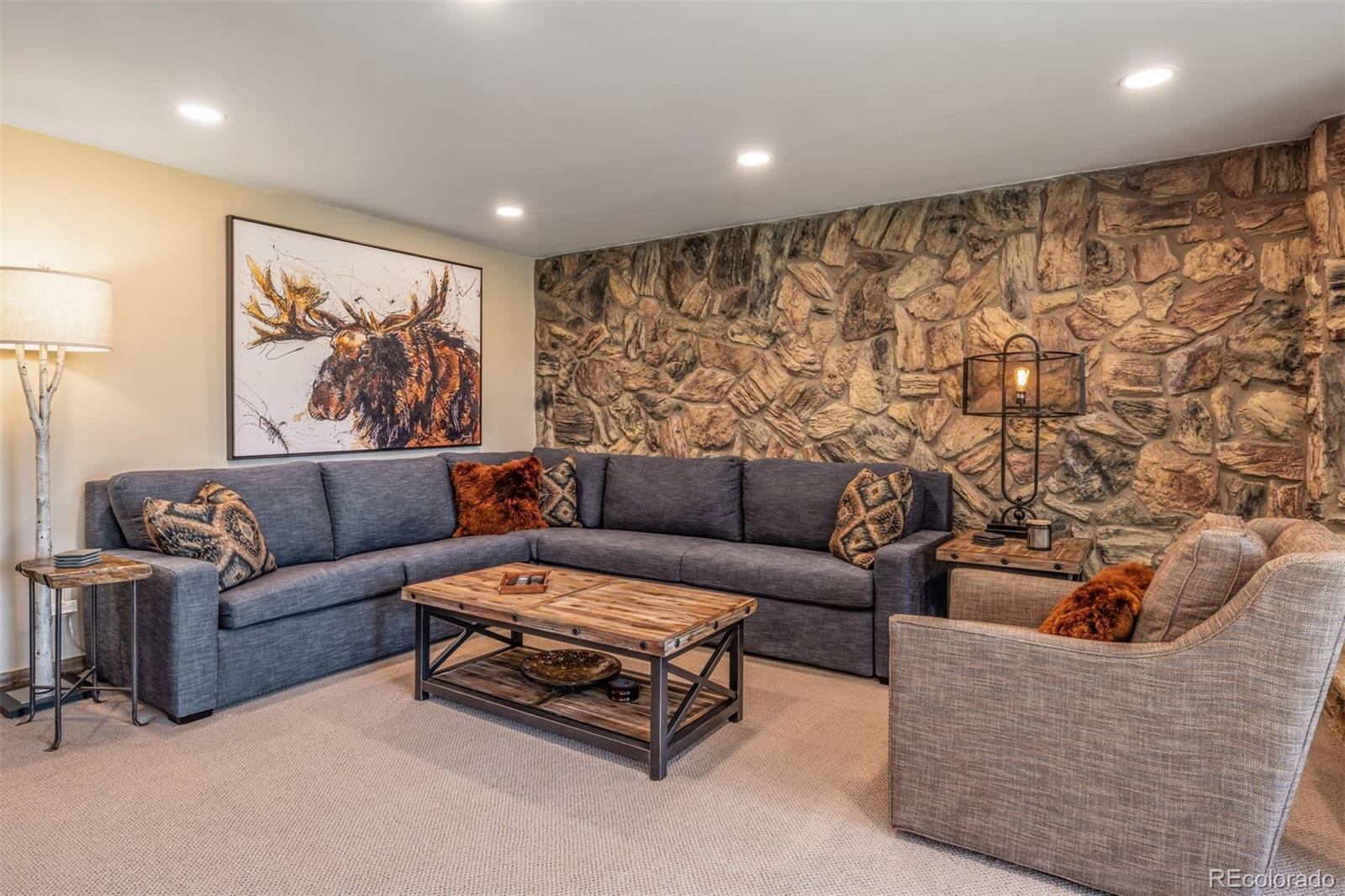 MLS Image #3 for 160  e la bonte ,dillon, Colorado