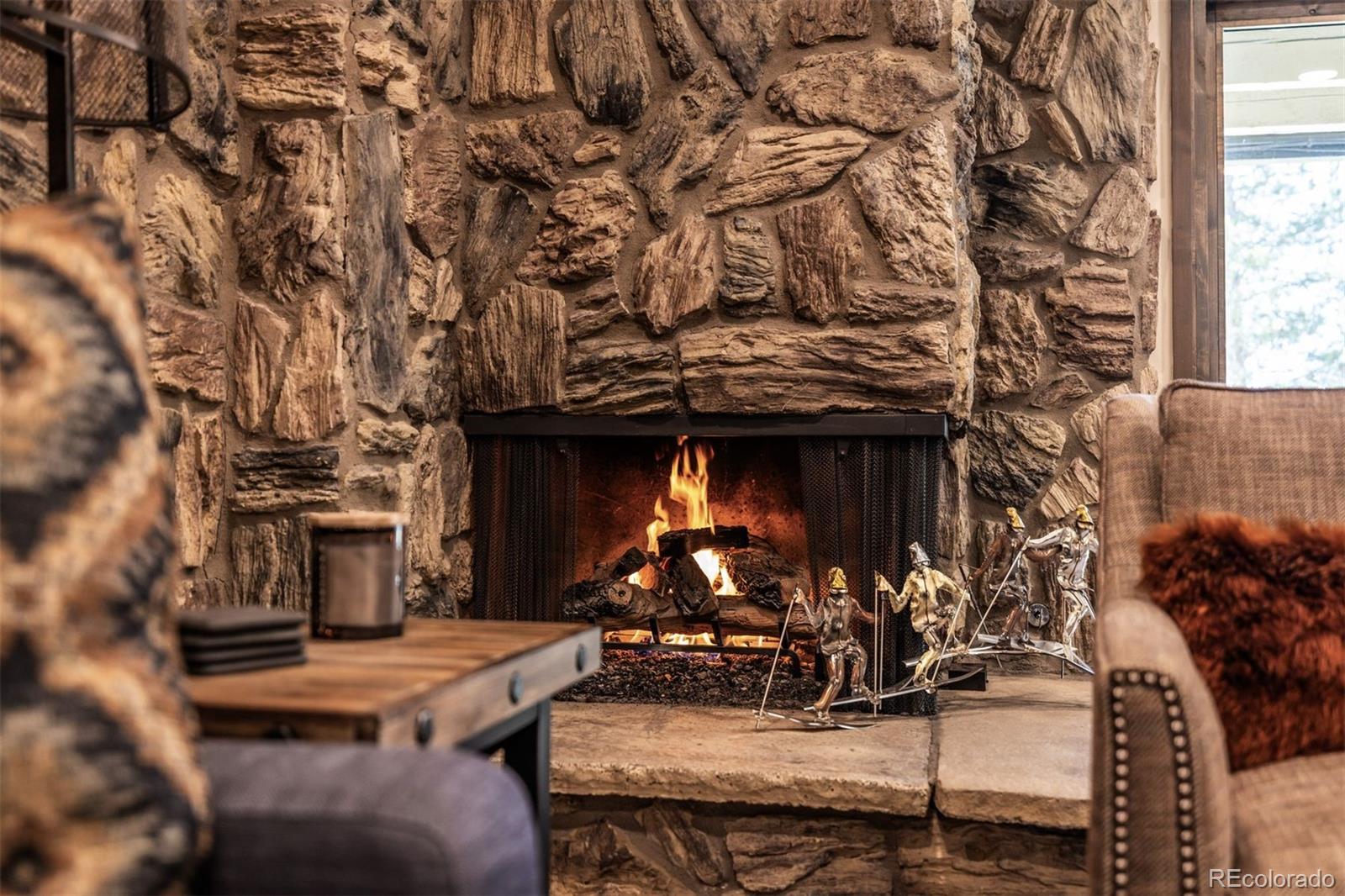MLS Image #6 for 160  e la bonte ,dillon, Colorado