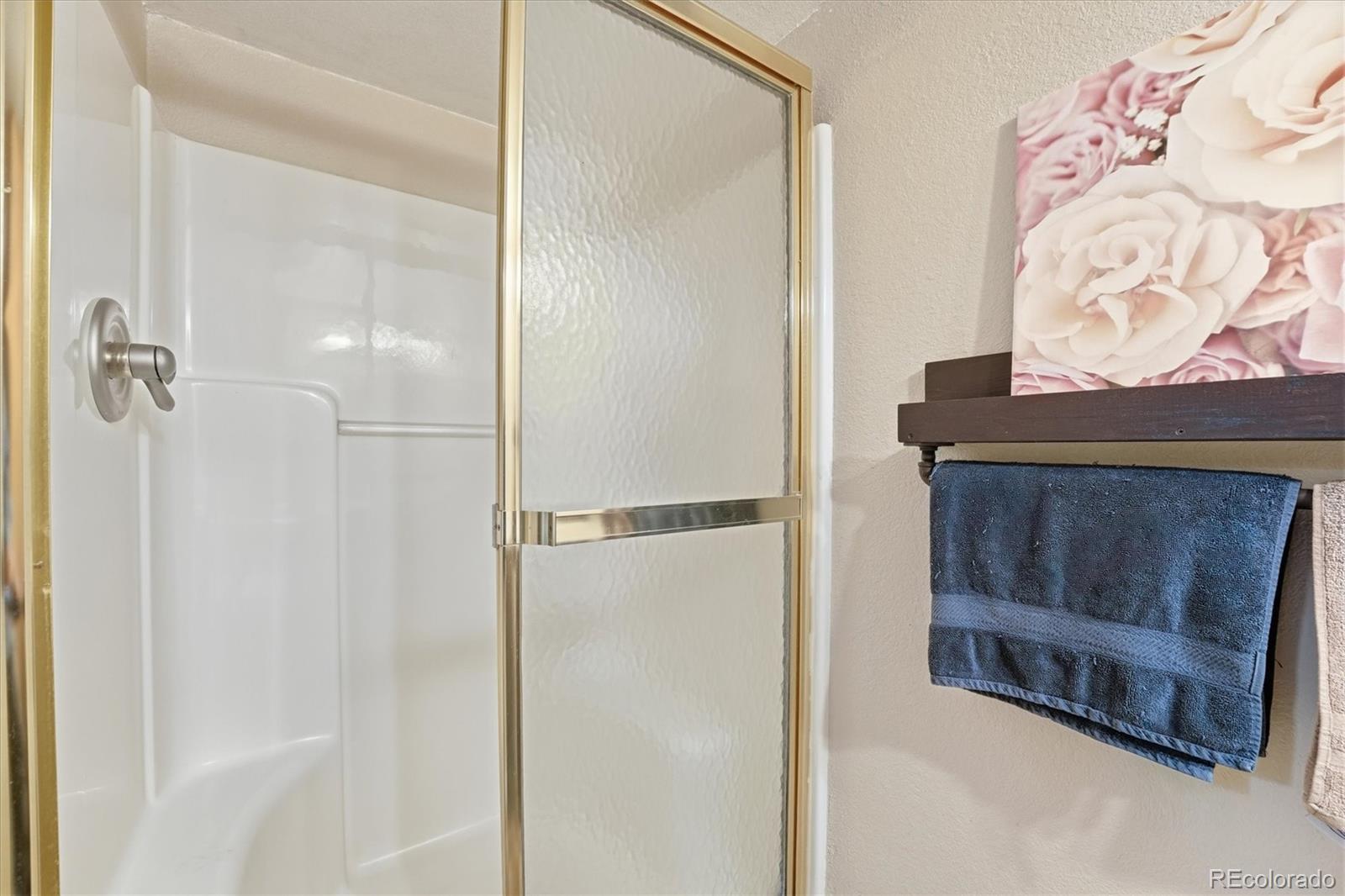 MLS Image #41 for 19578 e elk creek drive,parker, Colorado