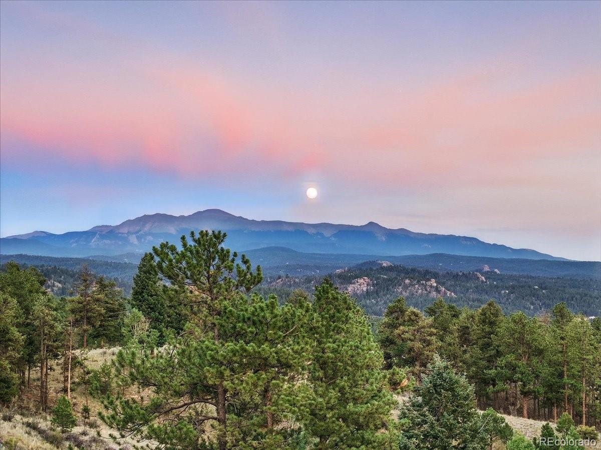 MLS Image #49 for 1721  wildhorn road,florissant, Colorado
