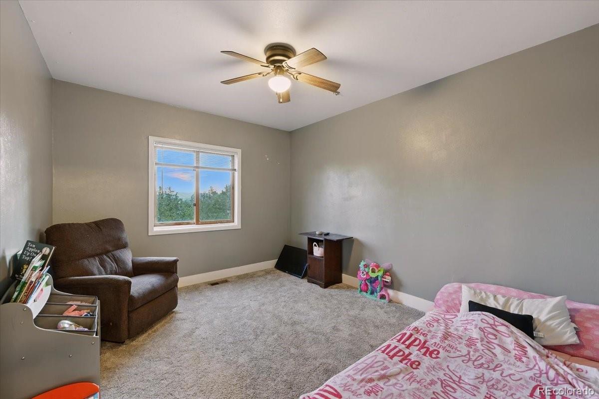MLS Image #5 for 1721  wildhorn road,florissant, Colorado