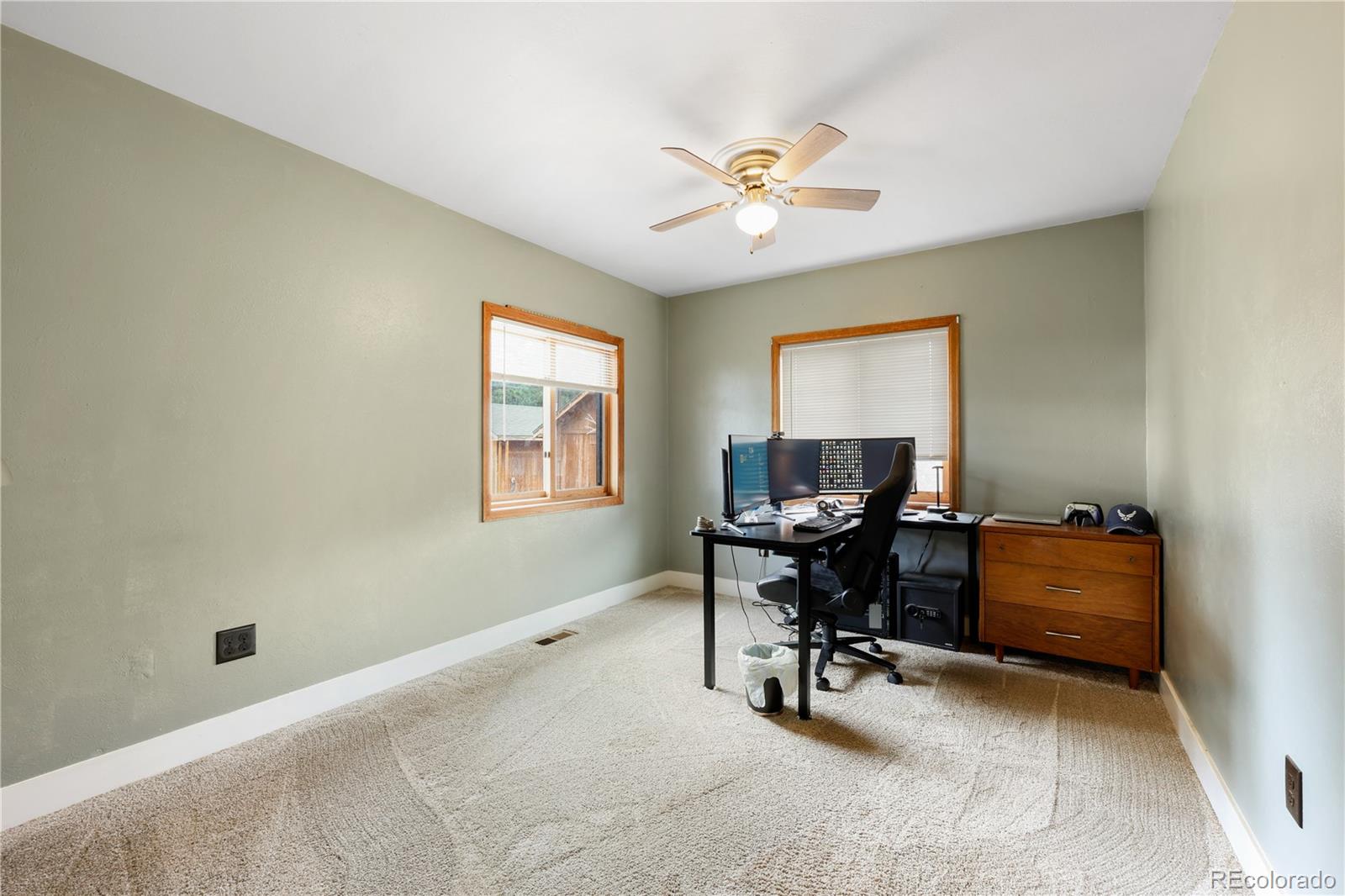 MLS Image #6 for 1721  wildhorn road,florissant, Colorado