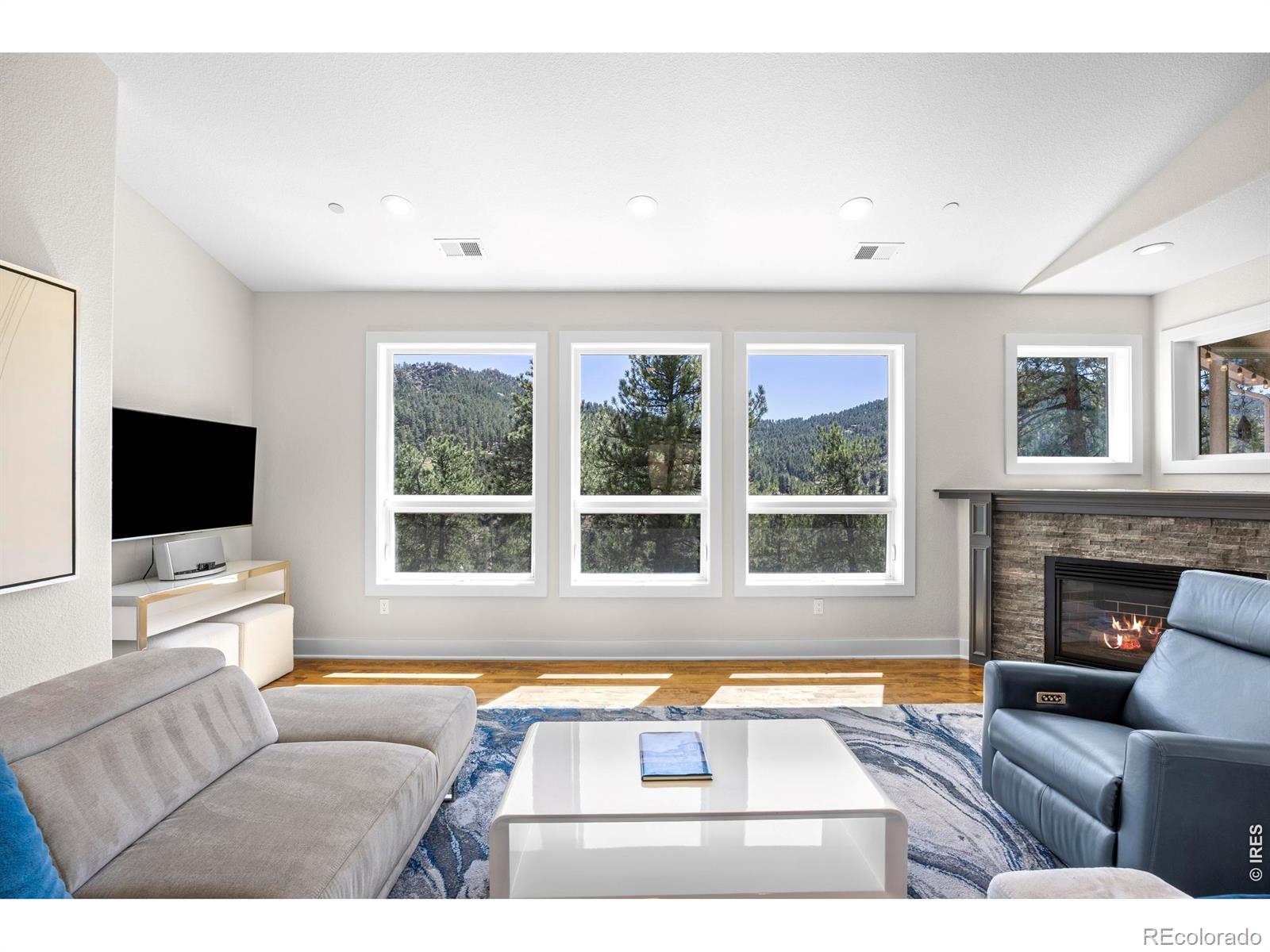 MLS Image #8 for 738  wagonwheel gap road,boulder, Colorado
