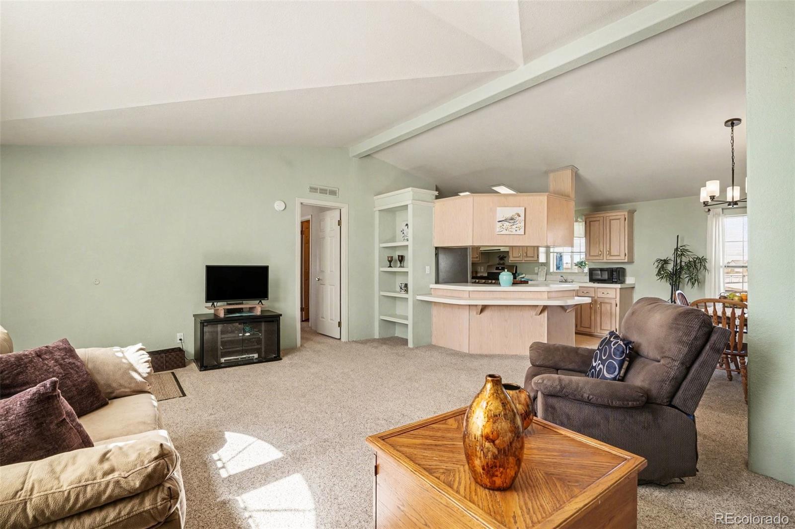 MLS Image #6 for 301 e longbow drive,divide, Colorado