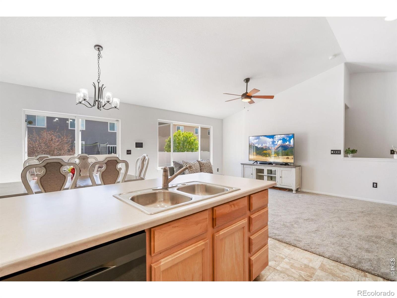 MLS Image #11 for 259  castle drive,severance, Colorado
