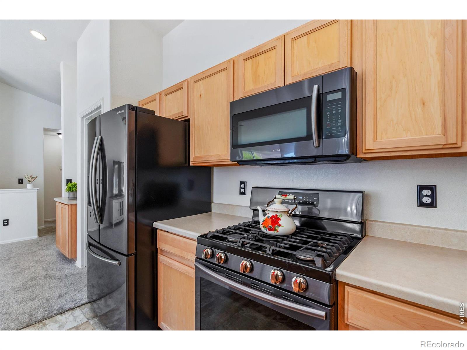 MLS Image #13 for 259  castle drive,severance, Colorado