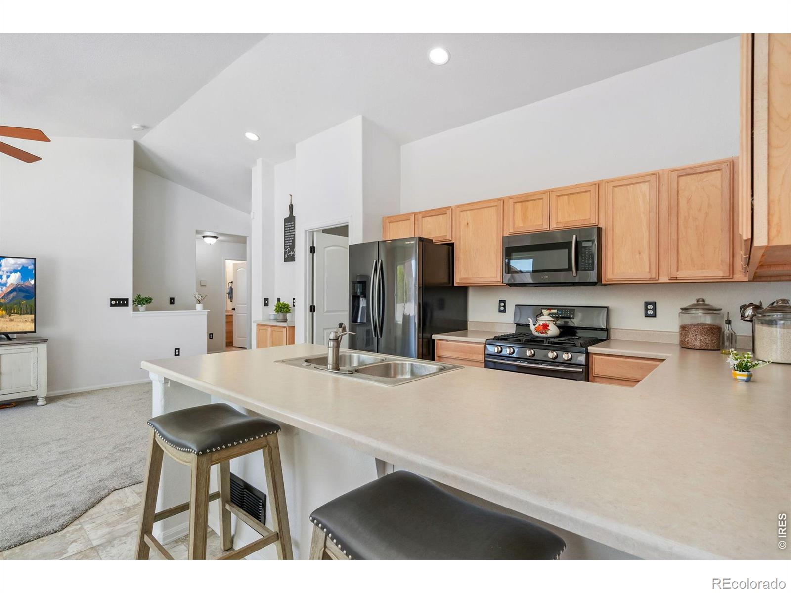 MLS Image #14 for 259  castle drive,severance, Colorado