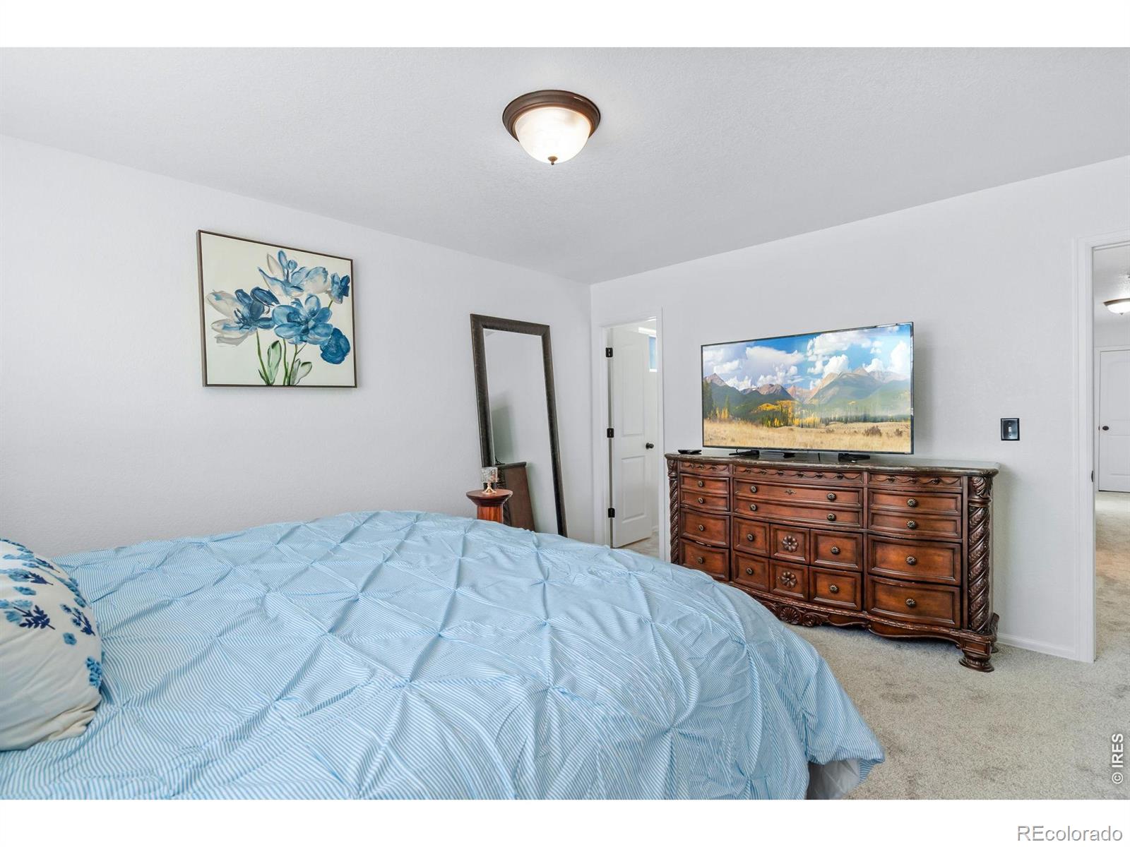 MLS Image #19 for 259  castle drive,severance, Colorado