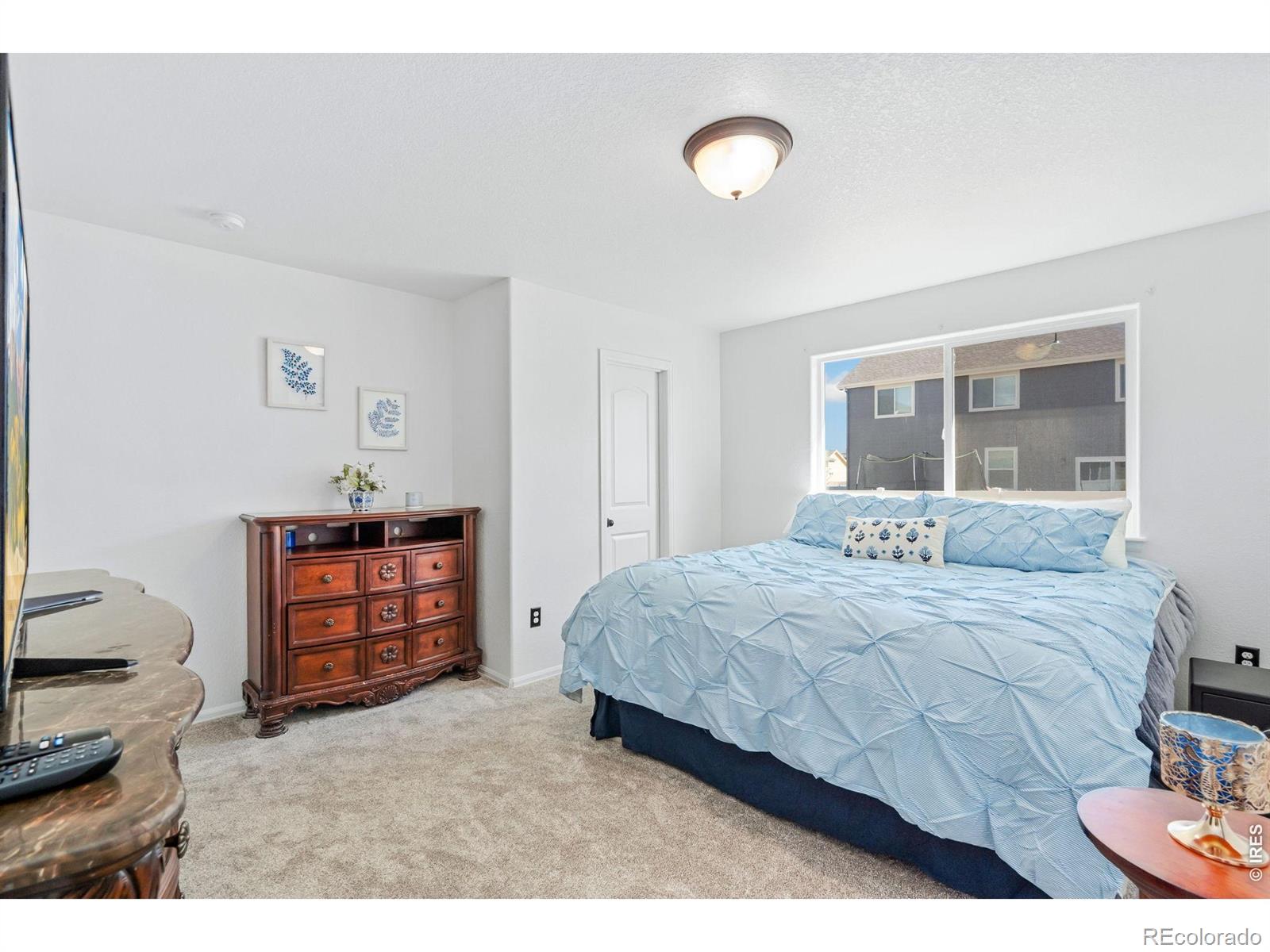 MLS Image #21 for 259  castle drive,severance, Colorado