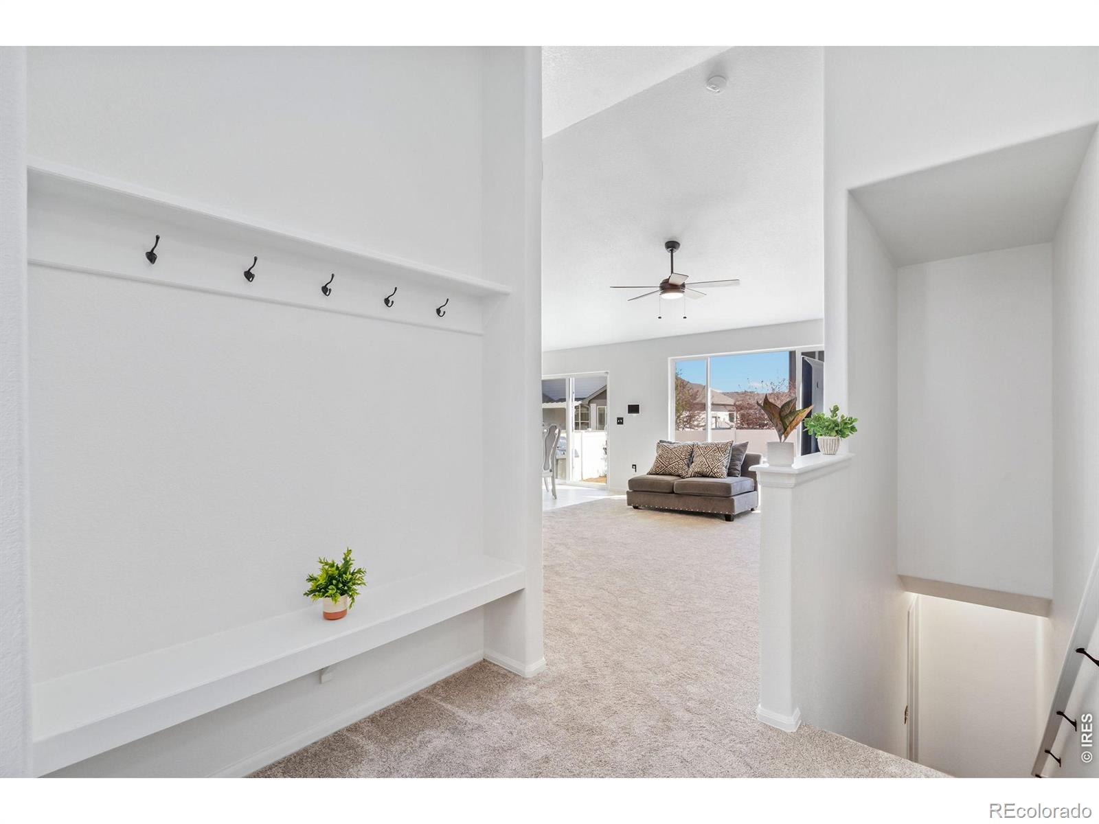 MLS Image #4 for 259  castle drive,severance, Colorado