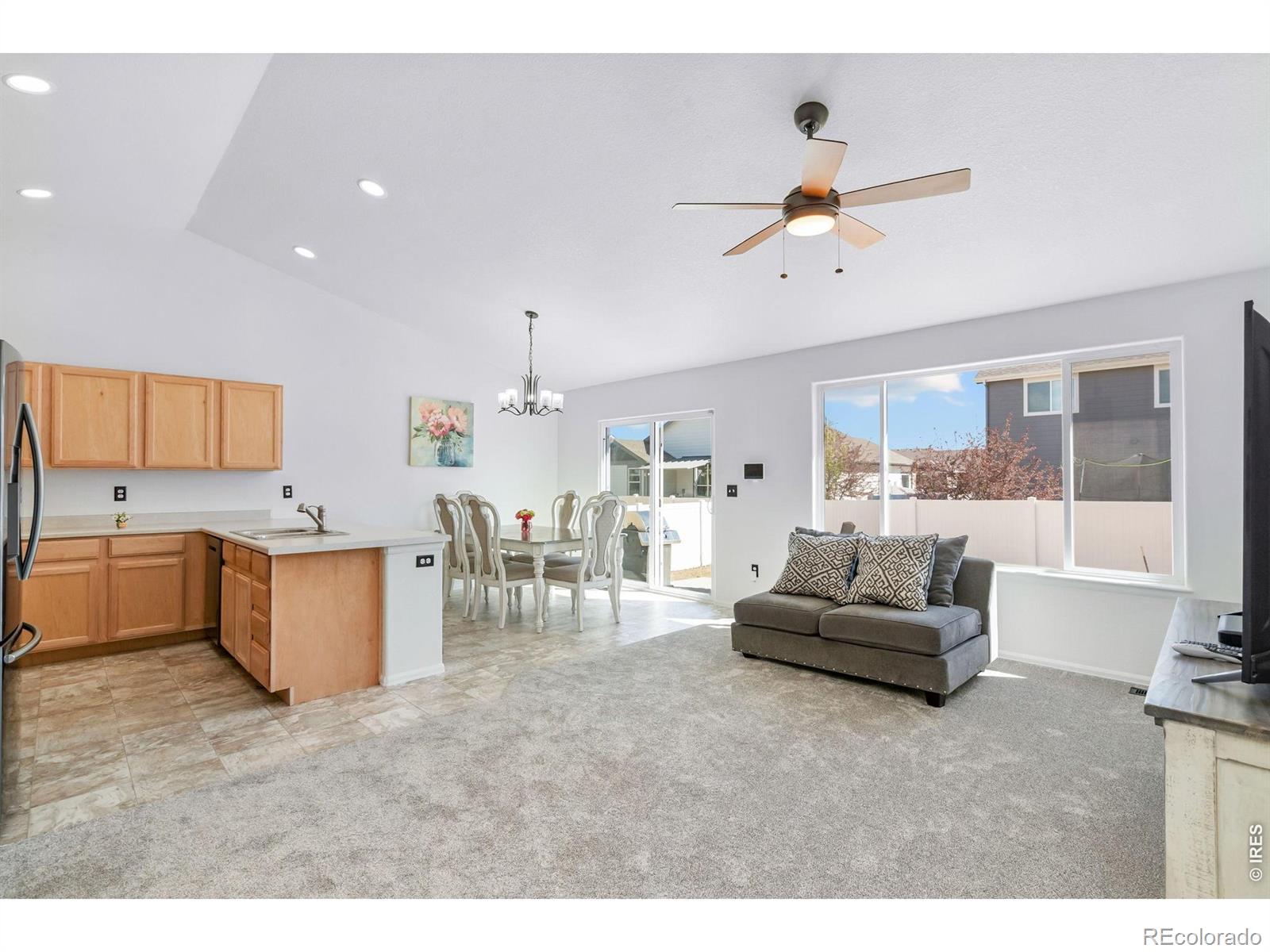 MLS Image #5 for 259  castle drive,severance, Colorado