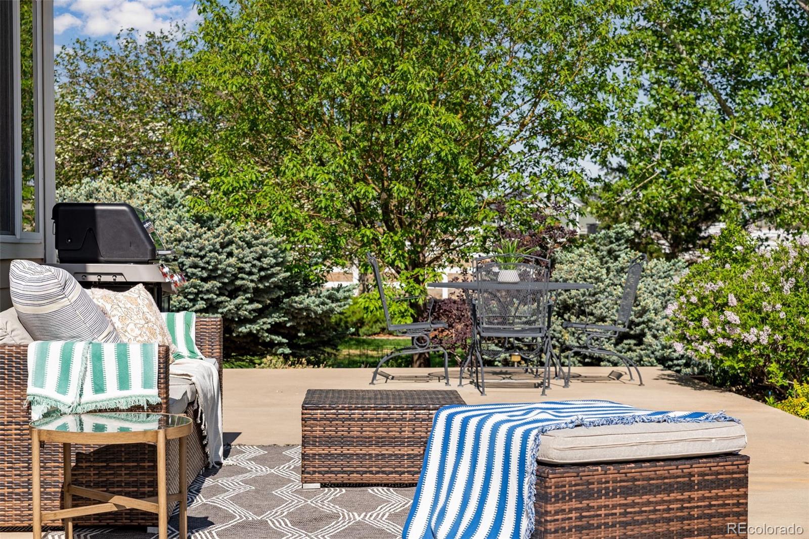 MLS Image #10 for 4406  indigo drive,severance, Colorado