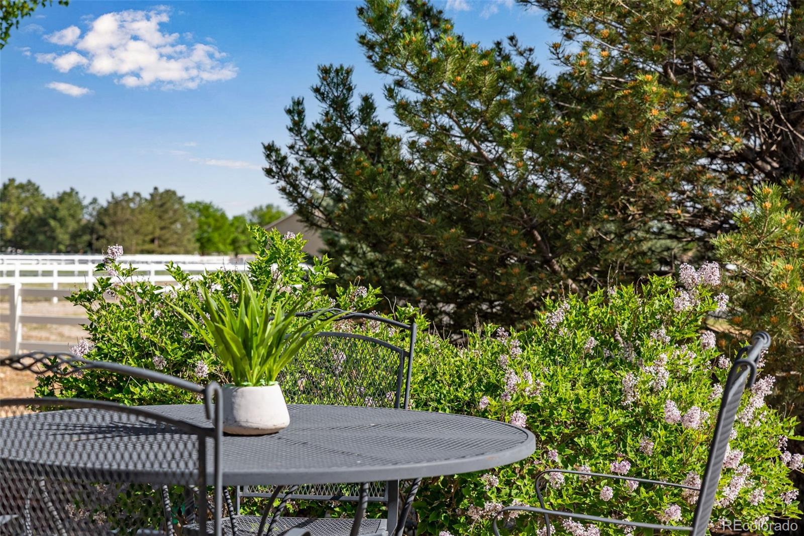 MLS Image #44 for 4406  indigo drive,severance, Colorado