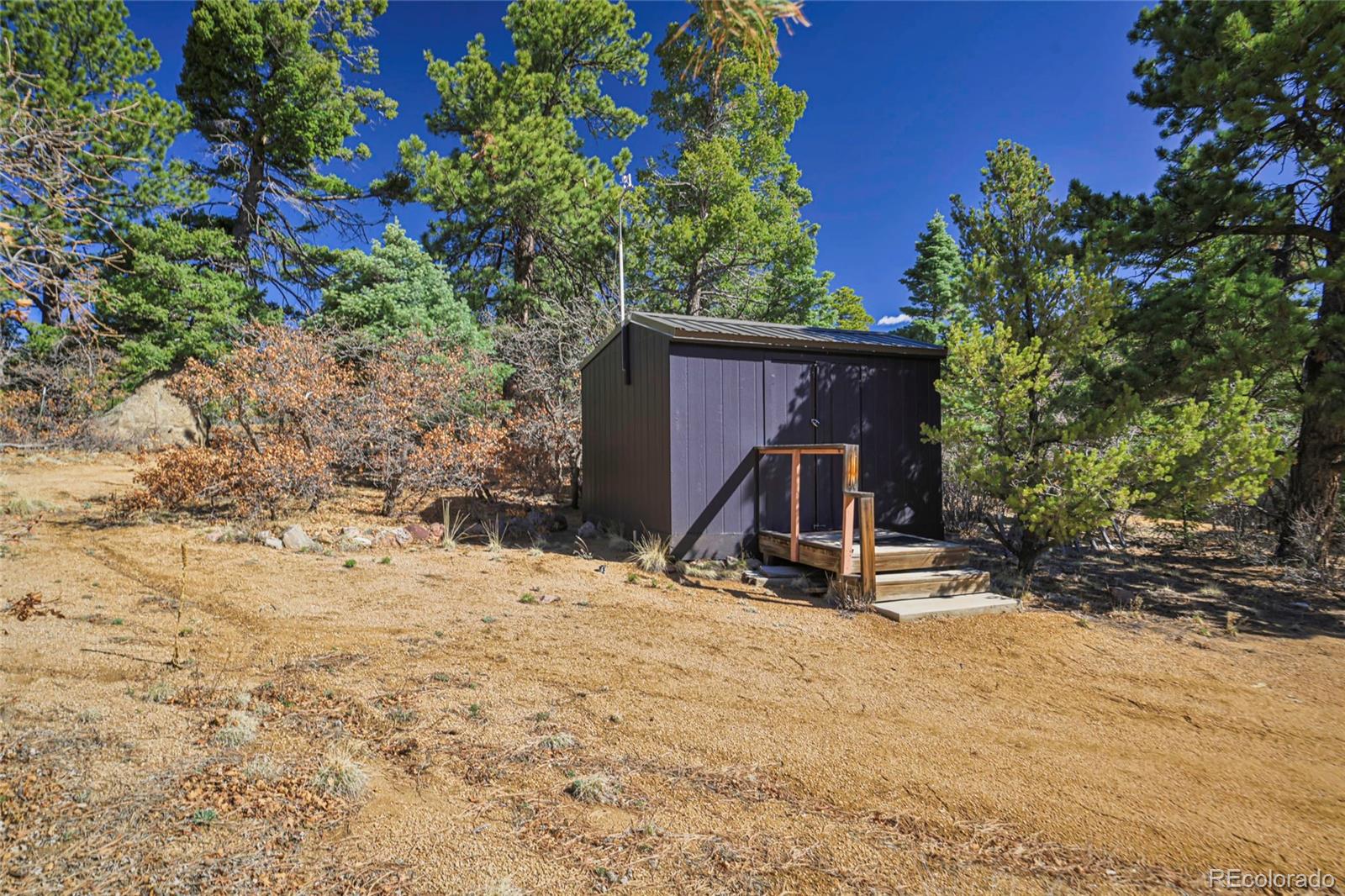 MLS Image #14 for 640  ridgeway drive,cotopaxi, Colorado