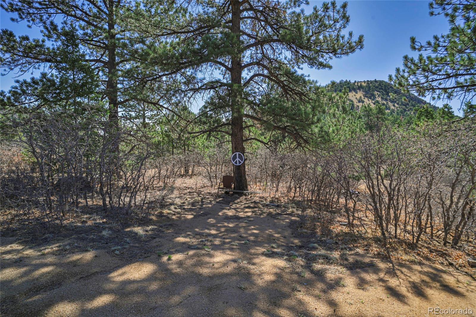 MLS Image #23 for 640  ridgeway drive,cotopaxi, Colorado