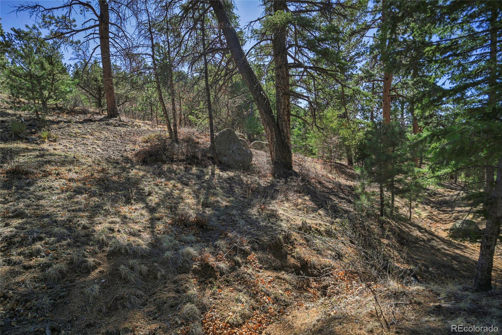 MLS Image #28 for 640  ridgeway drive,cotopaxi, Colorado