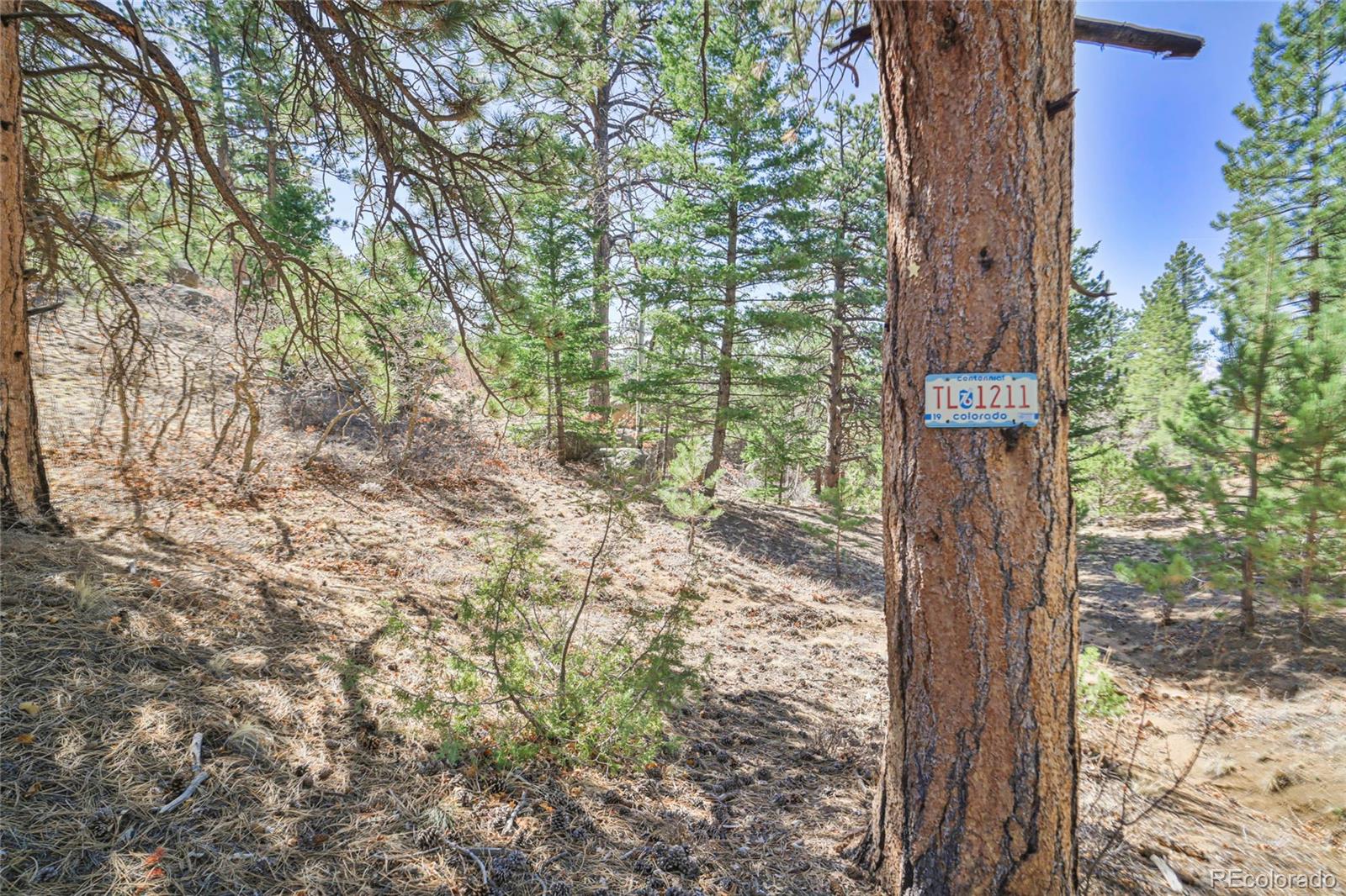 MLS Image #29 for 640  ridgeway drive,cotopaxi, Colorado