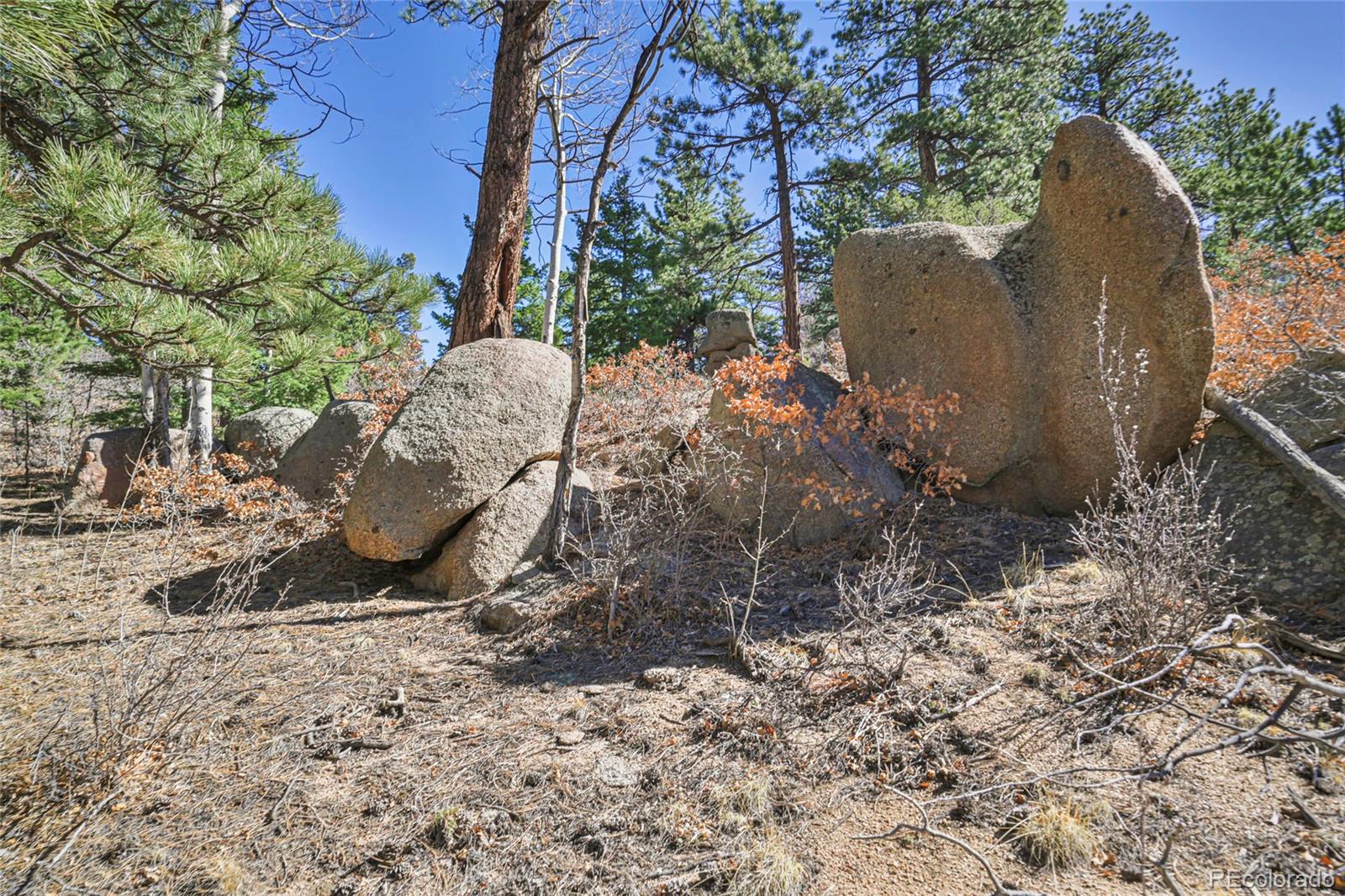MLS Image #30 for 640  ridgeway drive,cotopaxi, Colorado