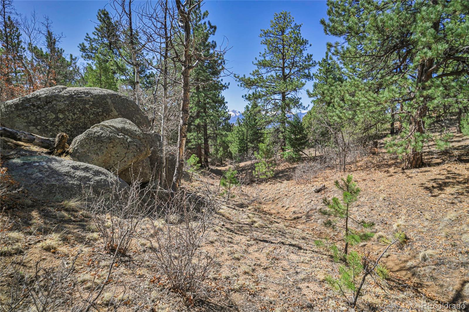 MLS Image #31 for 640  ridgeway drive,cotopaxi, Colorado