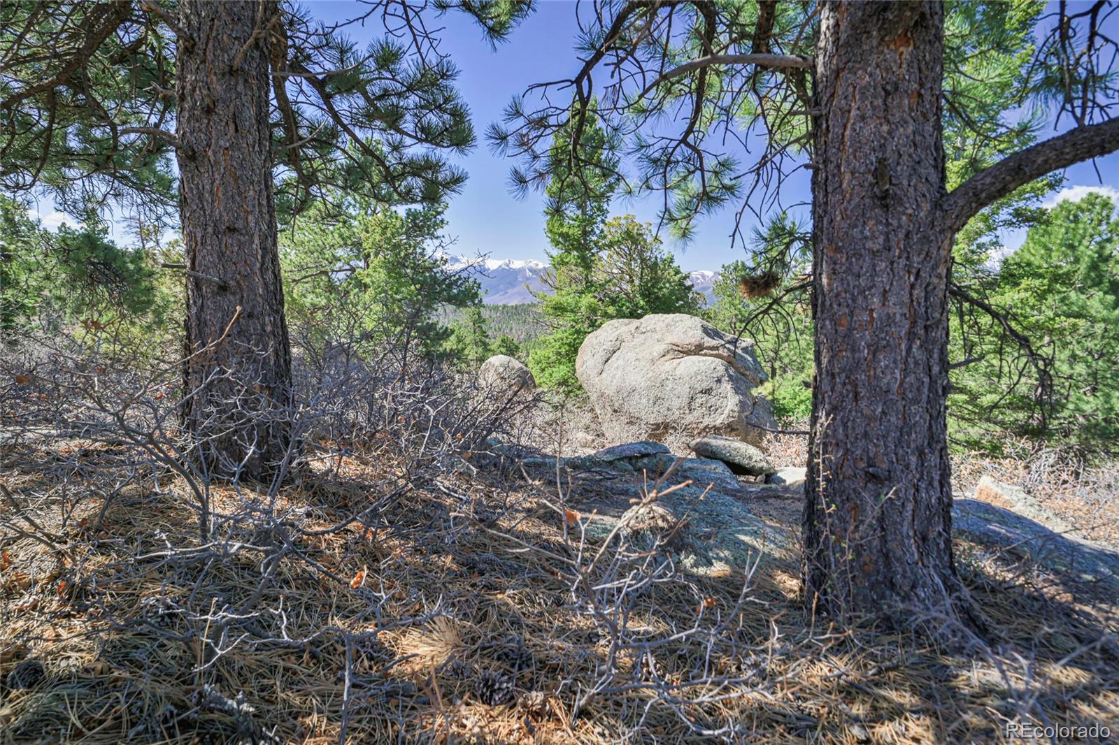 MLS Image #35 for 640  ridgeway drive,cotopaxi, Colorado