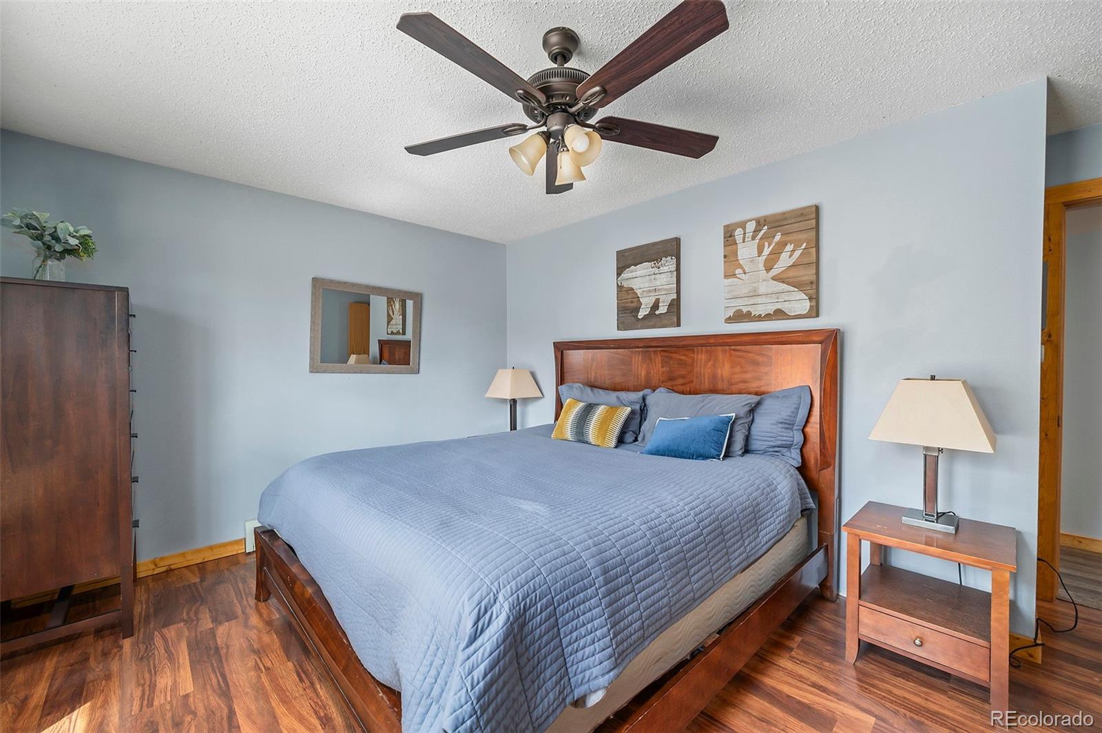 MLS Image #10 for 2079  high creek road,fairplay, Colorado