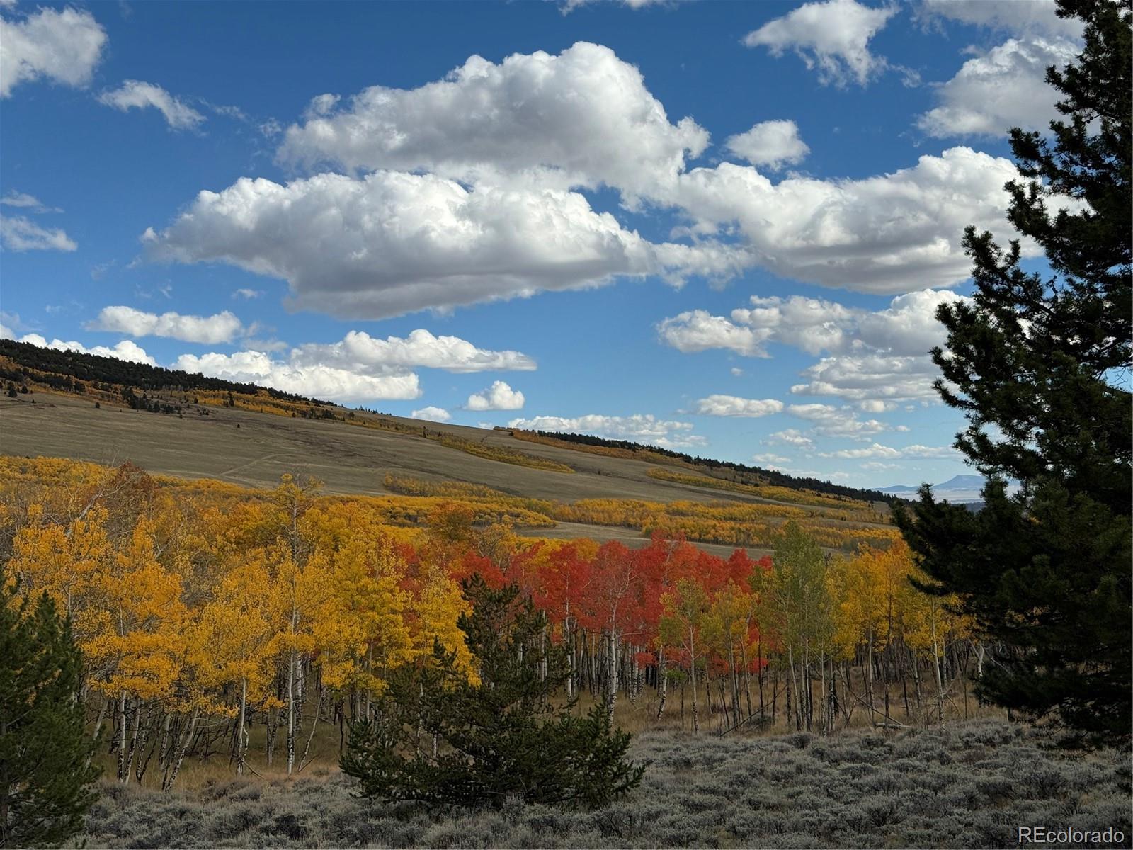 MLS Image #17 for 2079  high creek road,fairplay, Colorado