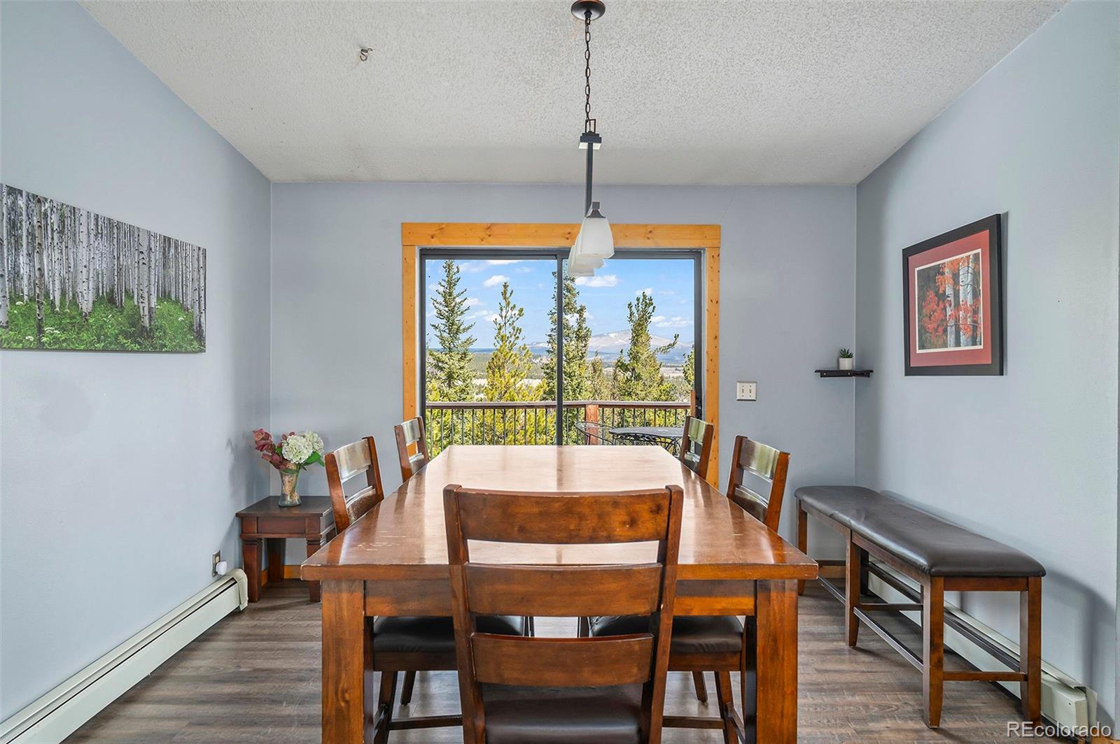 MLS Image #20 for 2079  high creek road,fairplay, Colorado