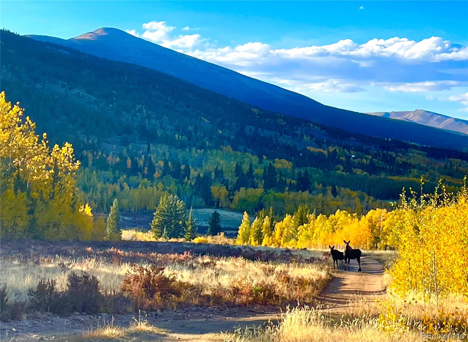 MLS Image #5 for 2079  high creek road,fairplay, Colorado