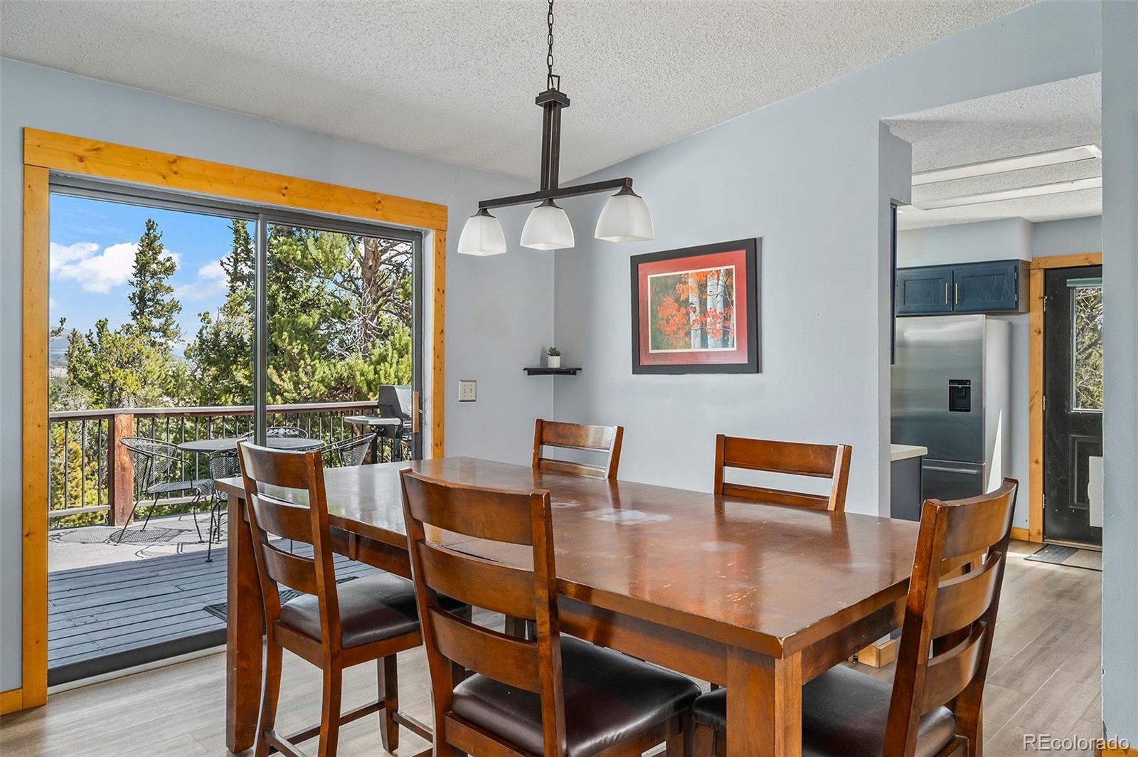 MLS Image #6 for 2079  high creek road,fairplay, Colorado