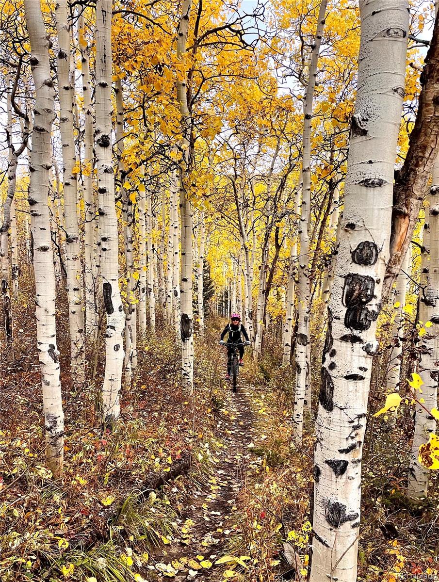 MLS Image #9 for 2079  high creek road,fairplay, Colorado
