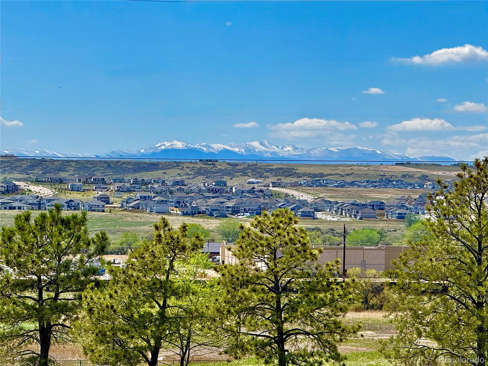 MLS Image #20 for 6537  pinewood drive,parker, Colorado