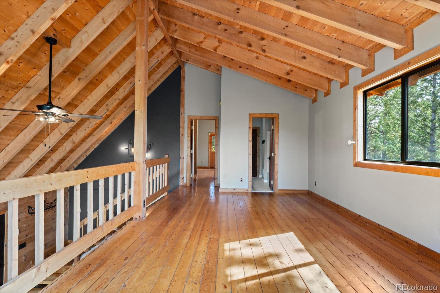 MLS Image #20 for 179  spruce way,black hawk, Colorado