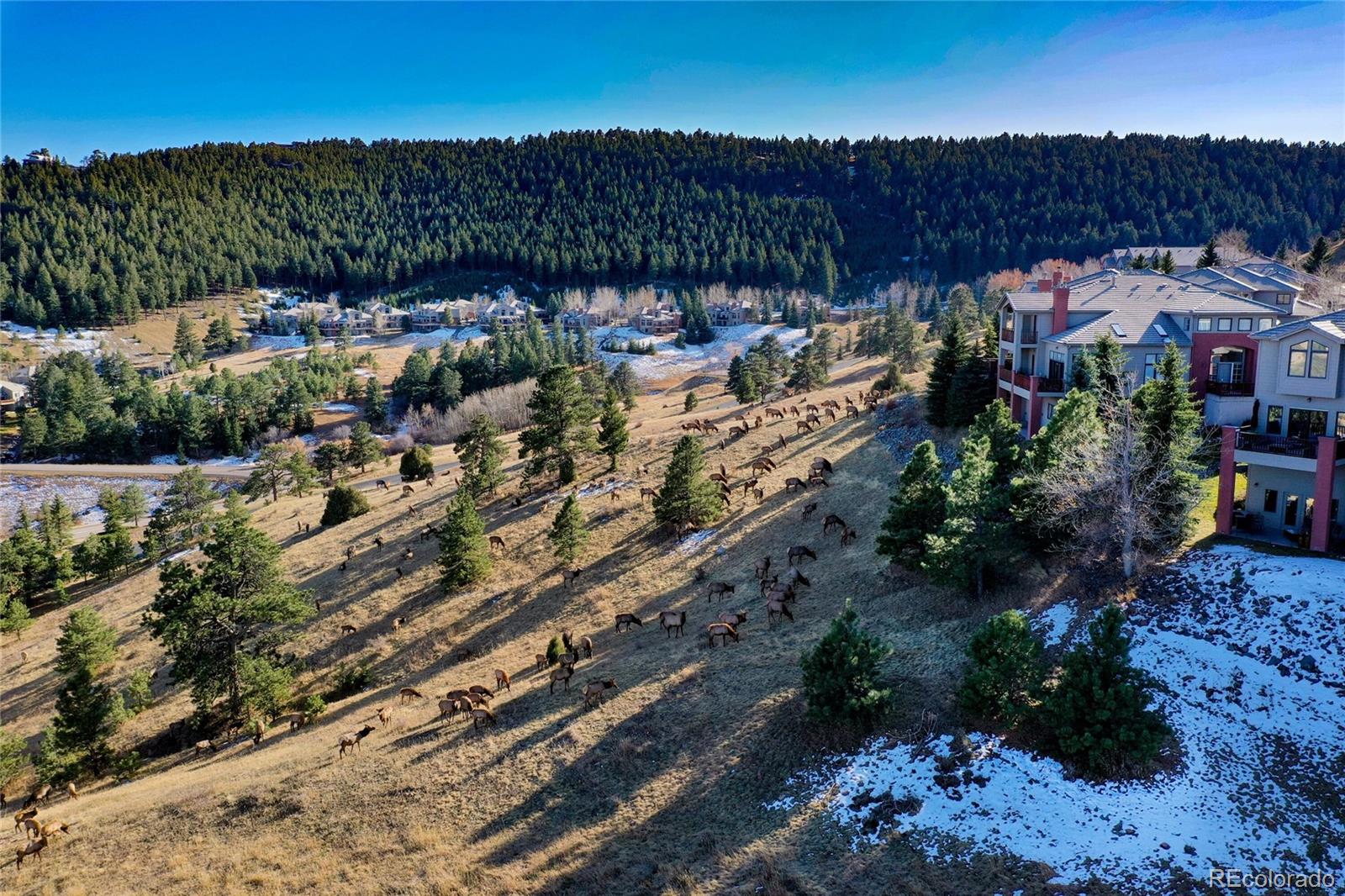 MLS Image #45 for 722  ridgeside drive ,golden, Colorado