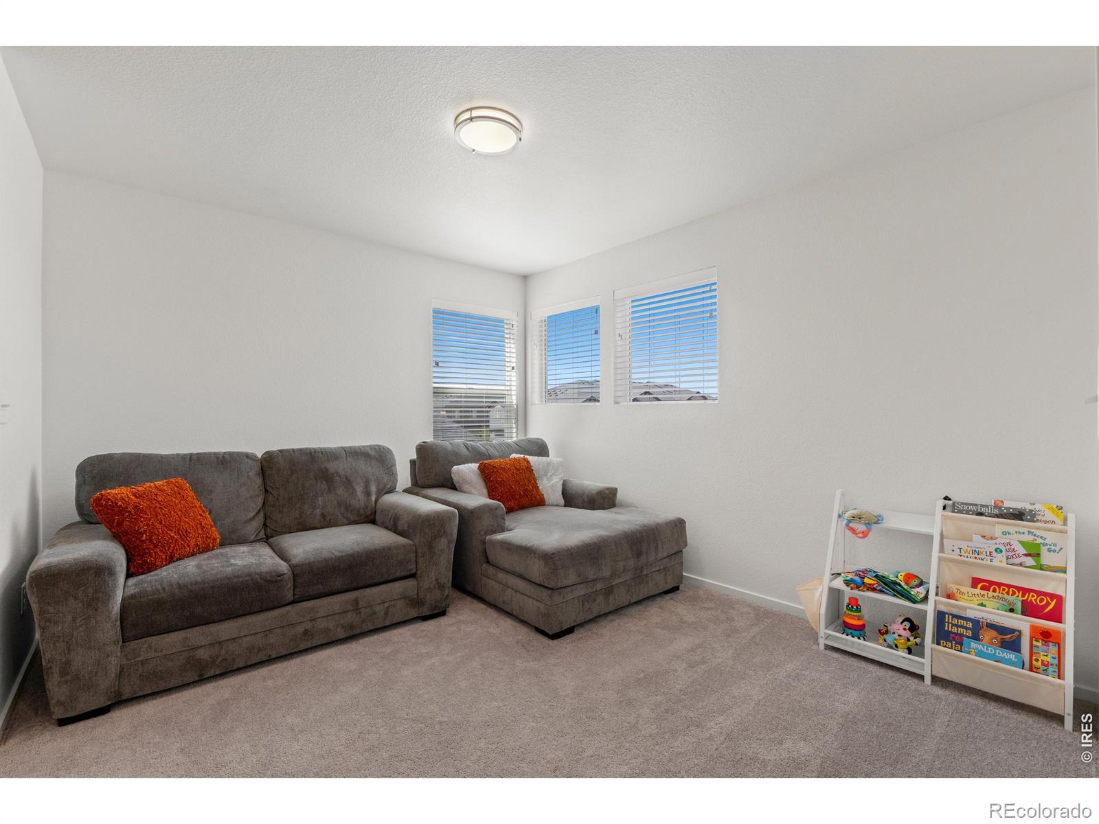 MLS Image #22 for 2939  barnstormer street,fort collins, Colorado