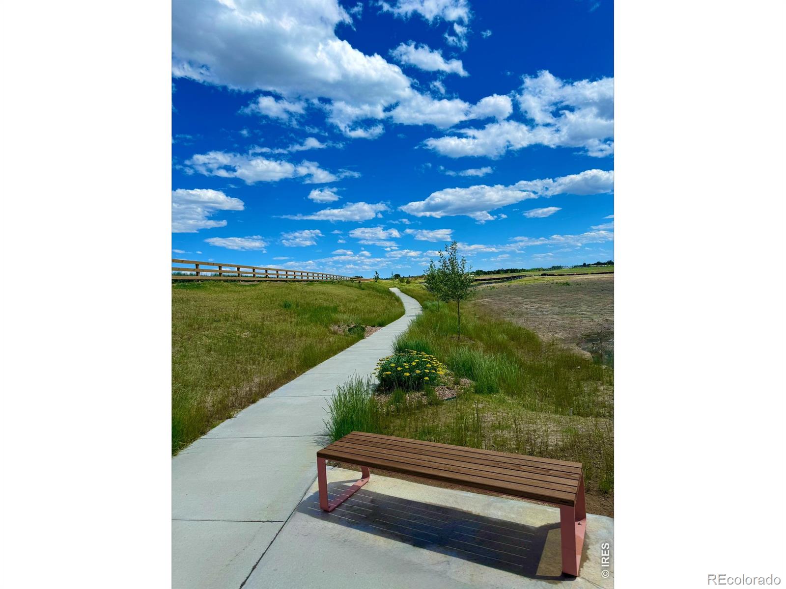 MLS Image #42 for 2939  barnstormer street,fort collins, Colorado