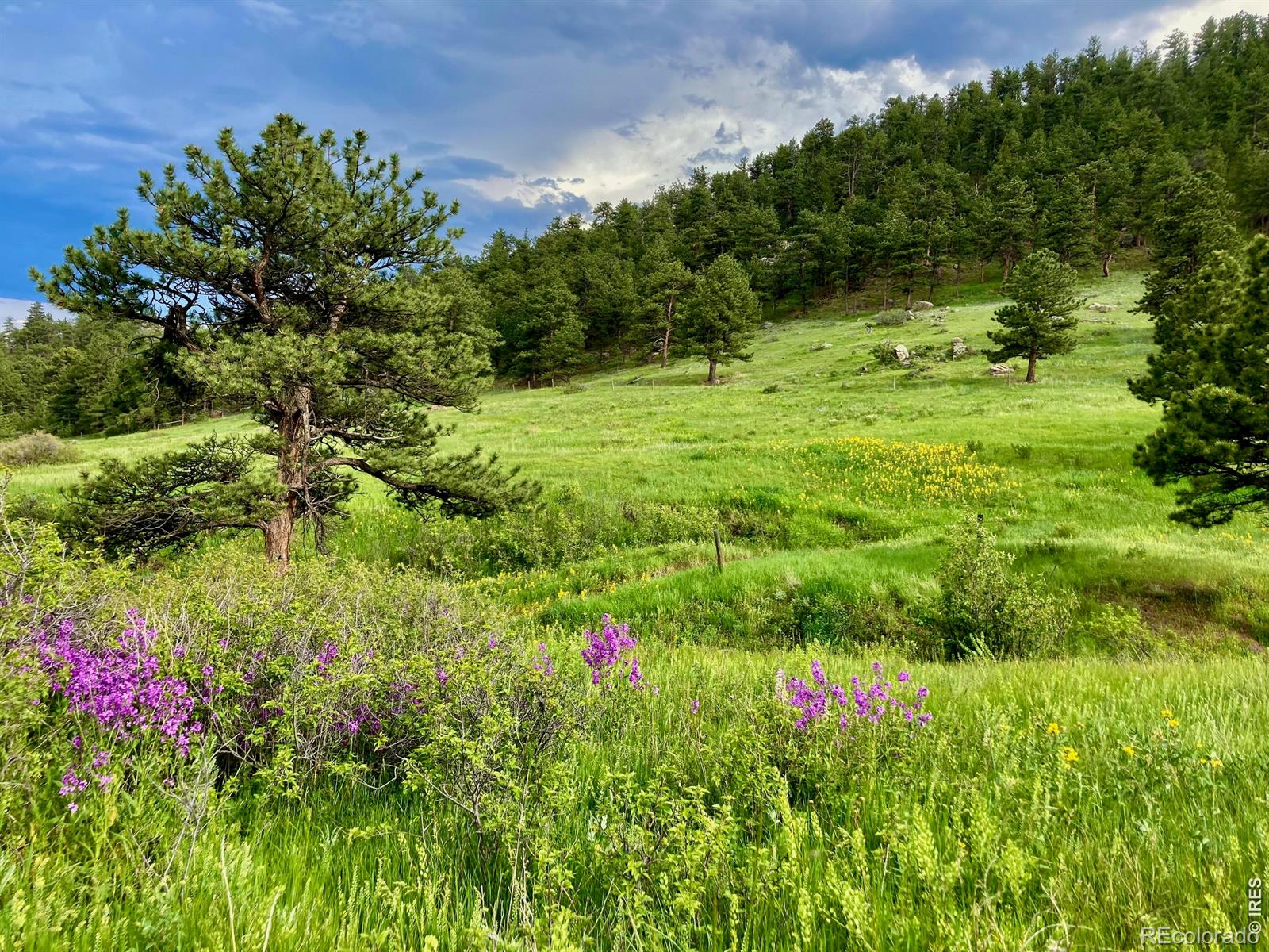 MLS Image #32 for 95  rowell drive,lyons, Colorado