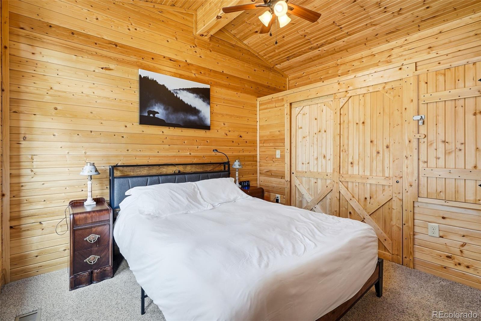 MLS Image #12 for 280  bunny road,bailey, Colorado