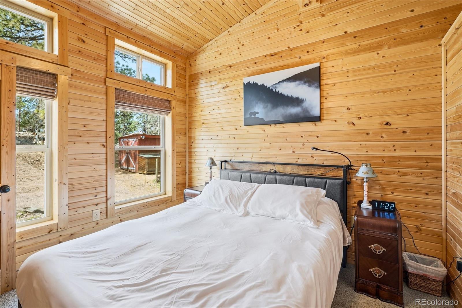 MLS Image #13 for 280  bunny road,bailey, Colorado