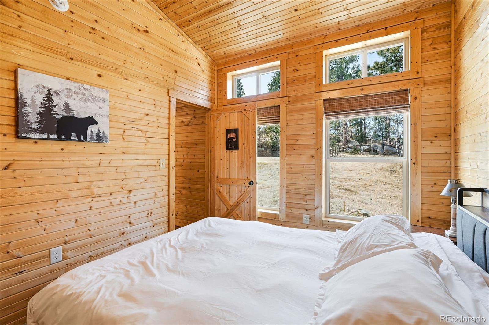MLS Image #14 for 280  bunny road,bailey, Colorado