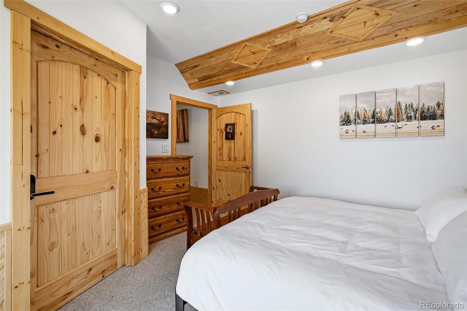 MLS Image #23 for 280  bunny road,bailey, Colorado