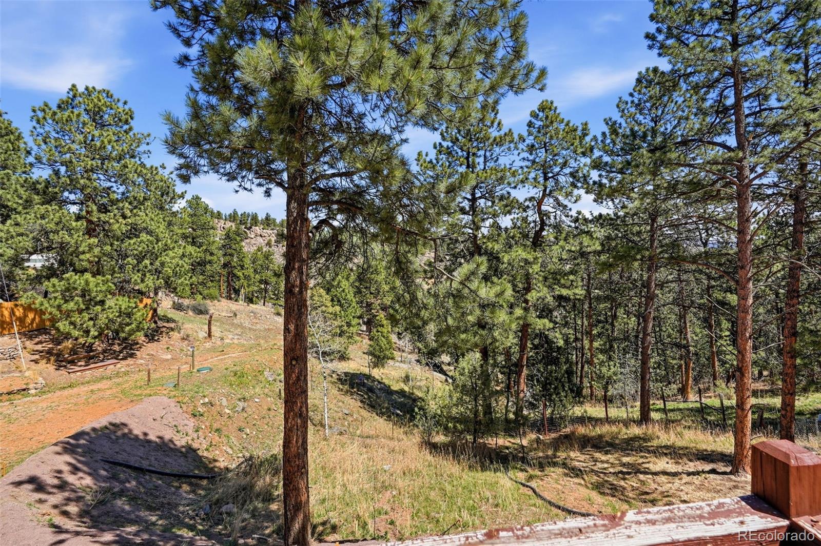 MLS Image #29 for 280  bunny road,bailey, Colorado