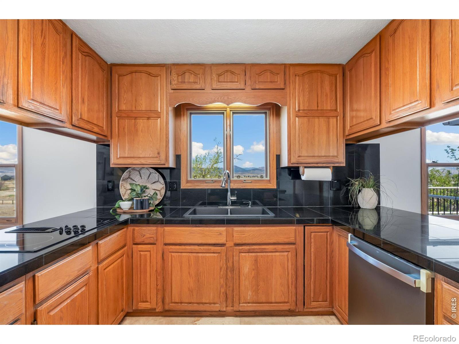 MLS Image #10 for 4701  mountain vista court,loveland, Colorado