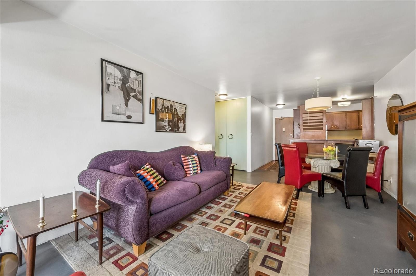 MLS Image #10 for 1121  albion street,denver, Colorado
