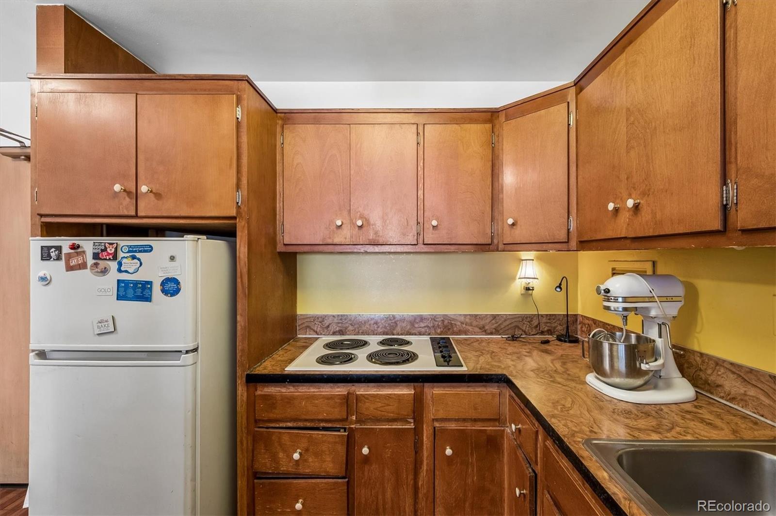 MLS Image #3 for 1121  albion street,denver, Colorado